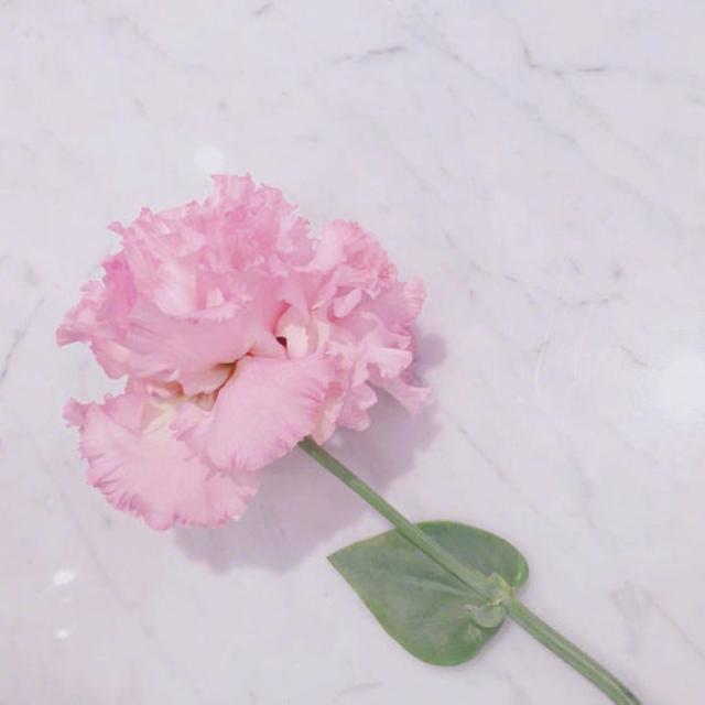 ^ԊĂԺΨ⾳׌